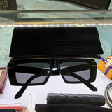 Christian Dior Sunglasses S2u Case