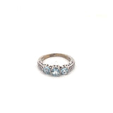 10k WG Aquamarine Ring 0.31ctw