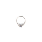 10K WG Dia Tanzanite Ring
